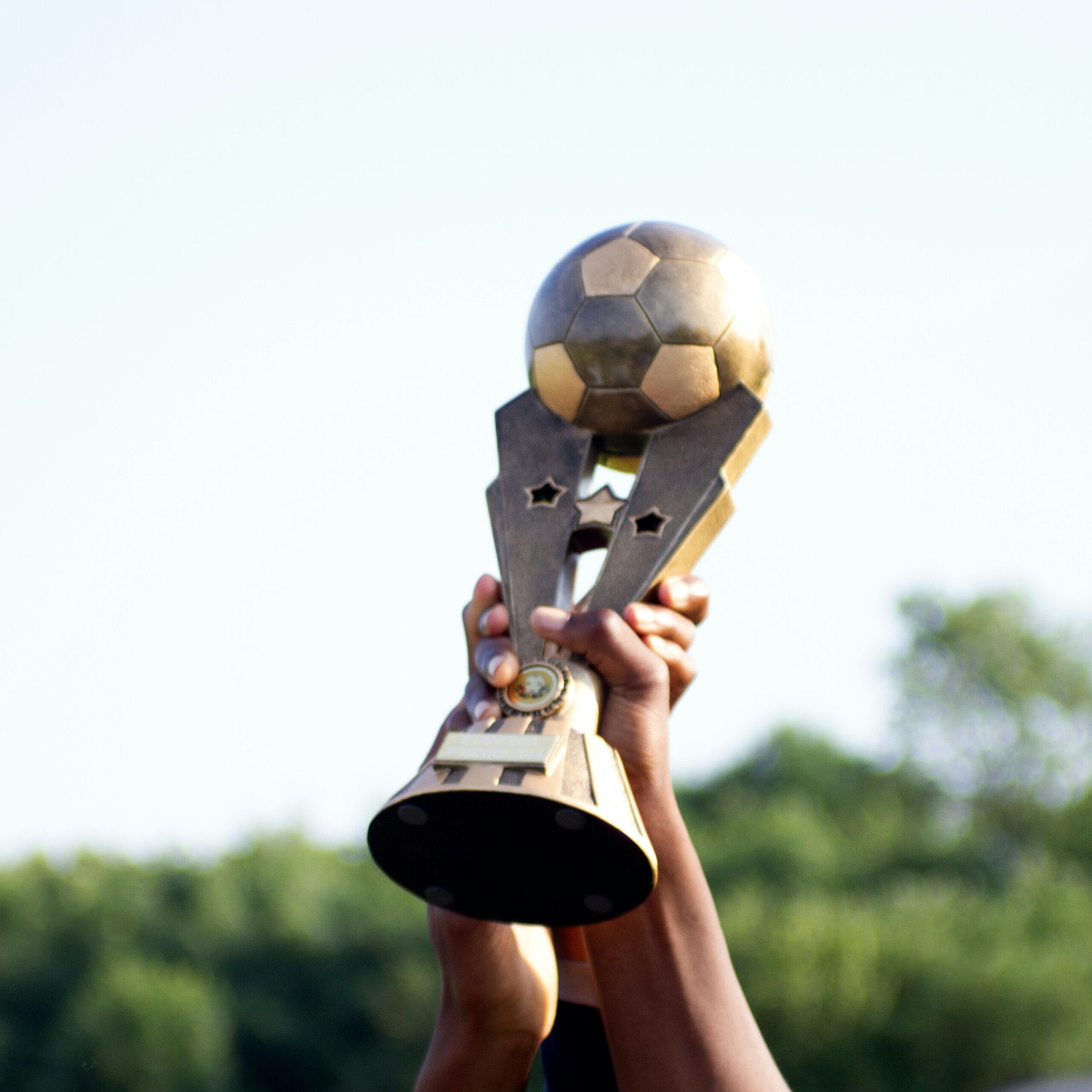 Business coaching case studies from PointView Coaching. Business coaching case studies from PointView Coaching. A person holding a trophy